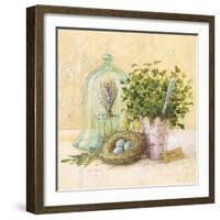 Cook's Garden-Angela Staehling-Framed Art Print