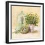 Cook's Garden-Angela Staehling-Framed Art Print