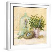 Cook's Garden-Angela Staehling-Framed Art Print