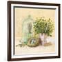 Cook's Garden-Angela Staehling-Framed Art Print