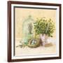 Cook's Garden-Angela Staehling-Framed Art Print