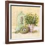 Cook's Garden-Angela Staehling-Framed Art Print