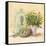 Cook's Garden-Angela Staehling-Framed Stretched Canvas