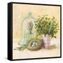 Cook's Garden-Angela Staehling-Framed Stretched Canvas