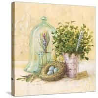 Cook's Garden-Angela Staehling-Stretched Canvas