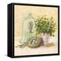 Cook's Garden-Angela Staehling-Framed Stretched Canvas