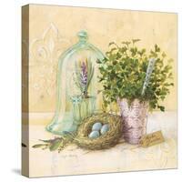 Cook's Garden-Angela Staehling-Stretched Canvas