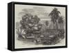 Cook's Tamarind-Tree, Tahiti-null-Framed Stretched Canvas