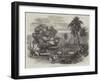 Cook's Tamarind-Tree, Tahiti-null-Framed Giclee Print