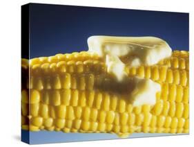 Cooked Corn on the Cob with Melting Butter-Ludger Rose-Stretched Canvas