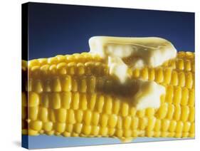 Cooked Corn on the Cob with Melting Butter-Ludger Rose-Stretched Canvas