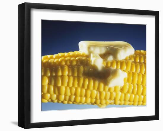 Cooked Corn on the Cob with Melting Butter-Ludger Rose-Framed Photographic Print