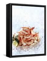 Cooked Prawns in a Bowl on Crushed Ice-null-Framed Stretched Canvas