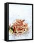 Cooked Prawns in a Bowl on Crushed Ice-null-Framed Stretched Canvas