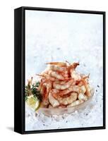 Cooked Prawns in a Bowl on Crushed Ice-null-Framed Stretched Canvas