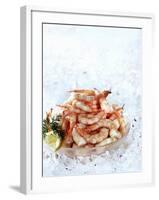 Cooked Prawns in a Bowl on Crushed Ice-null-Framed Photographic Print