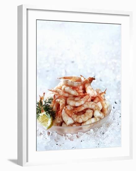 Cooked Prawns in a Bowl on Crushed Ice-null-Framed Photographic Print