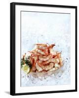 Cooked Prawns in a Bowl on Crushed Ice-null-Framed Photographic Print