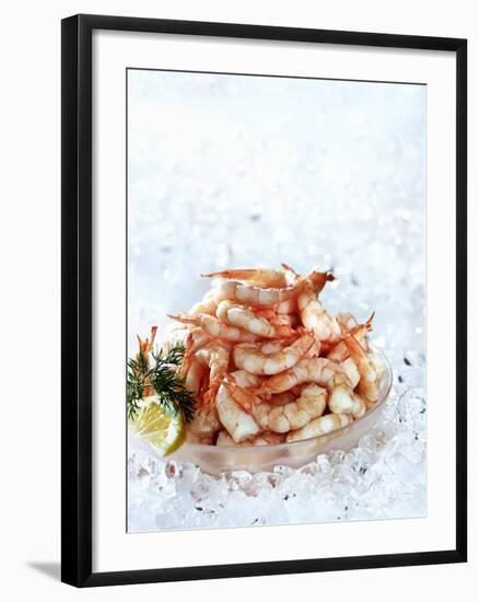 Cooked Prawns in a Bowl on Crushed Ice-null-Framed Photographic Print