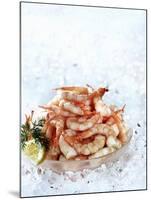 Cooked Prawns in a Bowl on Crushed Ice-null-Mounted Photographic Print