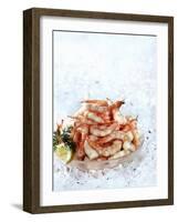 Cooked Prawns in a Bowl on Crushed Ice-null-Framed Photographic Print