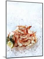 Cooked Prawns in a Bowl on Crushed Ice-null-Mounted Photographic Print