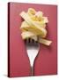 Cooked Ribbon Pasta on a Fork-null-Stretched Canvas