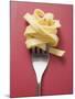 Cooked Ribbon Pasta on a Fork-null-Mounted Photographic Print