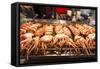 Cooked Squid, Shilin Night Market, Taipei, Taiwan, Asia-Michael Runkel-Framed Stretched Canvas