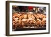 Cooked Squid, Shilin Night Market, Taipei, Taiwan, Asia-Michael Runkel-Framed Photographic Print