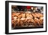 Cooked Squid, Shilin Night Market, Taipei, Taiwan, Asia-Michael Runkel-Framed Photographic Print