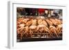 Cooked Squid, Shilin Night Market, Taipei, Taiwan, Asia-Michael Runkel-Framed Photographic Print