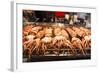 Cooked Squid, Shilin Night Market, Taipei, Taiwan, Asia-Michael Runkel-Framed Photographic Print