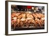 Cooked Squid, Shilin Night Market, Taipei, Taiwan, Asia-Michael Runkel-Framed Photographic Print