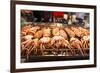 Cooked Squid, Shilin Night Market, Taipei, Taiwan, Asia-Michael Runkel-Framed Photographic Print