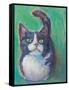 Cookie Bean Green-Mary Urban-Framed Stretched Canvas