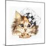 Cookie Kitten-Karen Middleton-Mounted Giclee Print
