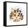 Cookie Kitten-Karen Middleton-Framed Stretched Canvas