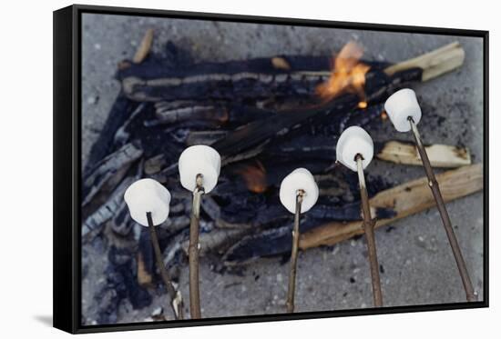 Cooking Marshmallows over Campfire-William P. Gottlieb-Framed Stretched Canvas