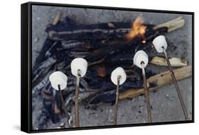 Cooking Marshmallows over Campfire-William P. Gottlieb-Framed Stretched Canvas