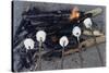 Cooking Marshmallows over Campfire-William P. Gottlieb-Stretched Canvas