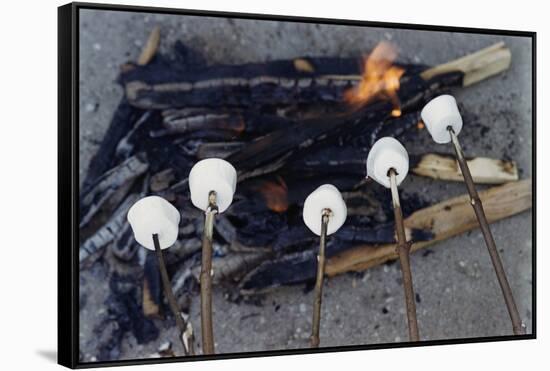 Cooking Marshmallows over Campfire-William P. Gottlieb-Framed Stretched Canvas