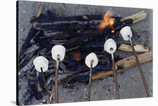 Cooking Marshmallows over Campfire-William P. Gottlieb-Stretched Canvas