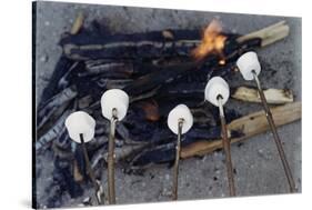 Cooking Marshmallows over Campfire-William P. Gottlieb-Stretched Canvas