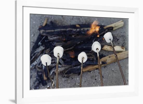 Cooking Marshmallows over Campfire-William P. Gottlieb-Framed Photographic Print