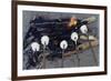 Cooking Marshmallows over Campfire-William P. Gottlieb-Framed Photographic Print
