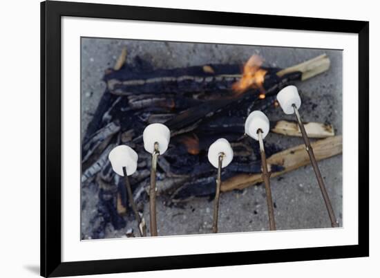 Cooking Marshmallows over Campfire-William P. Gottlieb-Framed Photographic Print