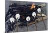 Cooking Marshmallows over Campfire-William P. Gottlieb-Mounted Photographic Print