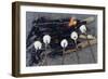 Cooking Marshmallows over Campfire-William P. Gottlieb-Framed Photographic Print