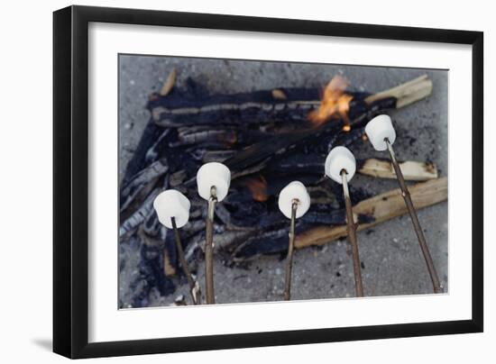 Cooking Marshmallows over Campfire-William P. Gottlieb-Framed Photographic Print